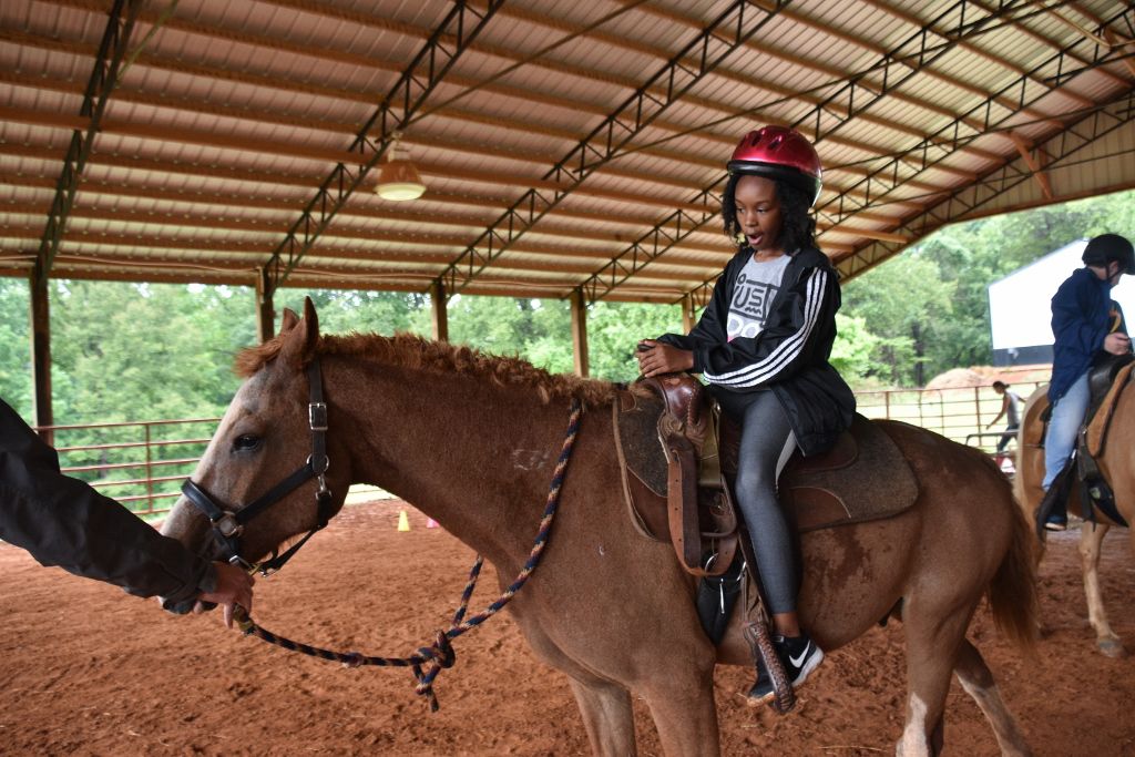 mimosa farm 2019 026 (1024x683).jpg
